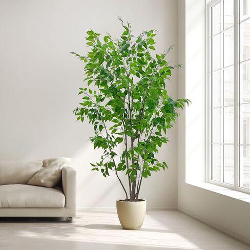 شجرة ficus الاصطناعية مع أوراق خضراء ، طولها 6 أقدام ، نبات داخلي مع زارع البيج الزخرفية in Kuwait