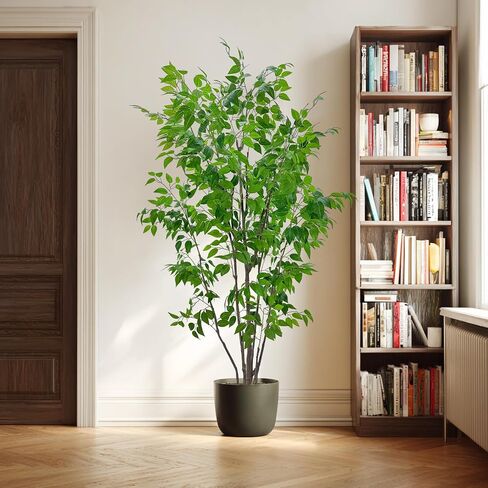 شجرة ficus الاصطناعية مع أوراق خضراء ، طولها 6 أقدام ، نبات داخلي مع زارع البيج الزخرفية in Kuwait
