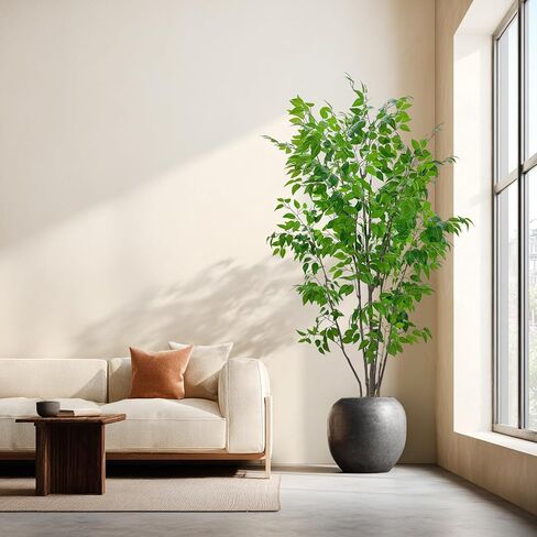 شجرة ficus الاصطناعية مع أوراق خضراء ، طولها 6 أقدام ، نبات داخلي مع زارع البيج الزخرفية in Kuwait
