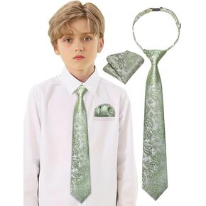 Barry.Wang Pre-Tied for Boys Solid Neckties and Pocket Square Set Adjustable Ties 15'' Teenager School Graduation Performance