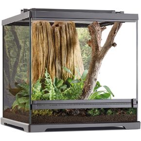 Exo Terra Dart Frog Terrarium
