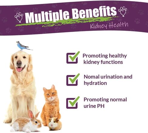 Amber NaturalZ Kidney Rejuvenator Herbal Supplement for Dogs, Cats, Birds, Guinea Pigs, and Rabbits | Pet Herbal Blend for Kidney Support | 1 Fluid Ounce Glass Bottle | Manufactured in The USA in Kuwait