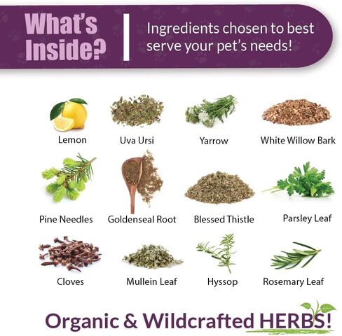 Amber NaturalZ Kidney Rejuvenator Herbal Supplement for Dogs, Cats, Birds, Guinea Pigs, and Rabbits | Pet Herbal Blend for Kidney Support | 1 Fluid Ounce Glass Bottle | Manufactured in The USA in Kuwait