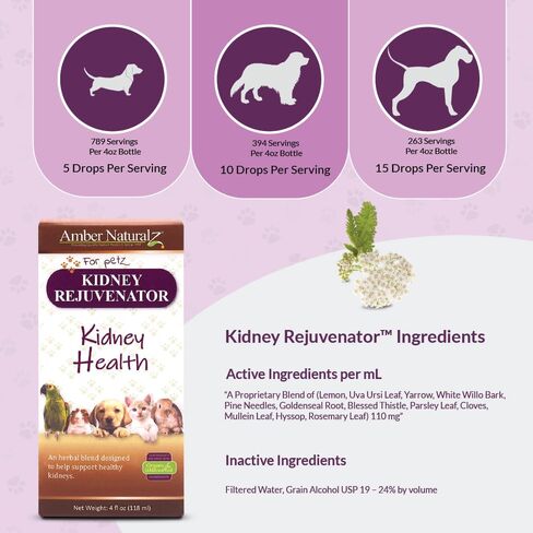 Amber NaturalZ Kidney Rejuvenator Herbal Supplement for Dogs, Cats, Birds, Guinea Pigs, and Rabbits | Pet Herbal Blend for Kidney Support | 1 Fluid Ounce Glass Bottle | Manufactured in The USA in Kuwait