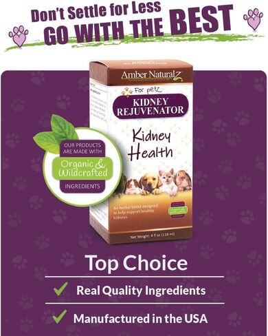Amber NaturalZ Kidney Rejuvenator Herbal Supplement for Dogs, Cats, Birds, Guinea Pigs, and Rabbits | Pet Herbal Blend for Kidney Support | 1 Fluid Ounce Glass Bottle | Manufactured in The USA in Kuwait