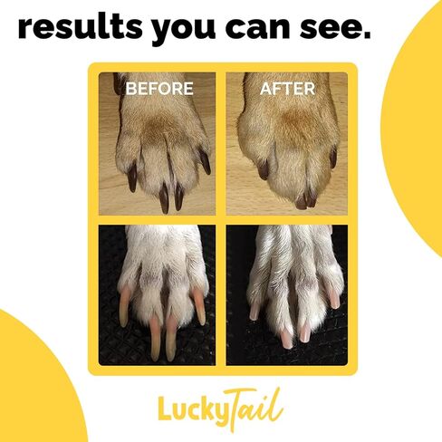 LuckyTail - مطحنة أظافر الكلاب - رؤوس بديلة صلبة وناعمة - الكلاب الصغيرة والكبيرة - جودة ممتازة - مثقاب برأس ماسي - أدوات تشذيب أظافر الكلاب الاحترافية - مجموعة أدوات العناية - عبوتان in Saudi Arabia