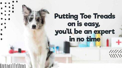 مداس أصابع القدم للكلاب من دكتور ماكهنري، مجموعة مكونة من 24 قطعة، لاصق، فرشاة تنظيف، زيادة الجر، دعم حركة الكلاب، مجموعة كبيرة جدًا - الوزن: 60-150 رطلاً. 1.6 أوقية. in Saudi Arabia