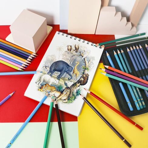 Smilo 76 Pack Professional Drawing Sketching Kit - Complete Art Supplies Set with Sketchbook,Graphite/Colored/Charcoal/Watercolor/Metallic Pencils - Ideal for Artists, Adults, Teens & Beginner Kids in Saudi Arabia