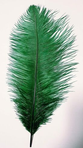 10pcs Ostrich Feathers 12-14inch for Wedding Decoration - (Blue/Light Blue) in Saudi Arabia