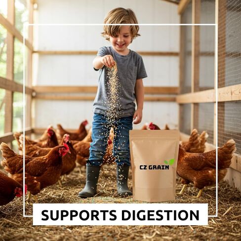 Chicken Sand - Helps Provide a Dry and Clean Enviornment - Promotes Food Digestion, Comes in Resealable Bag - Fresh Water Sand (20 Pounds) in Saudi Arabia
