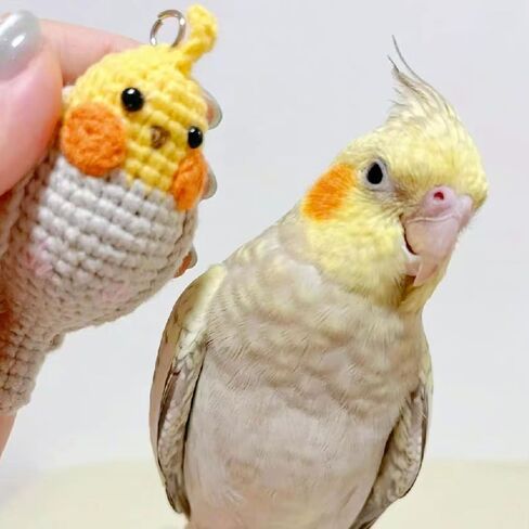 Crochet Bird Keychain, Handmade Weaving Parrot, Bag Pendant, Key Ring, Car Accessories, Gift for Friends, Family, kids in Kuwait