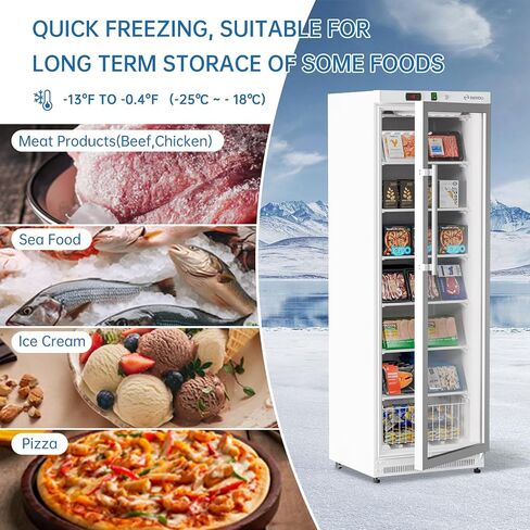 Beyou التجاري الثلاجة في وضع مستقيم ، 10.7 Cu. Ft.Reach-in Freezer باللون الأبيض باب واحد in Kuwait