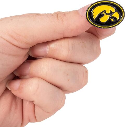 Desert Cactus University of Iowa Hawkeyes Lapel Pins Logo Enamel Made of Metal (Pin E) in Kuwait