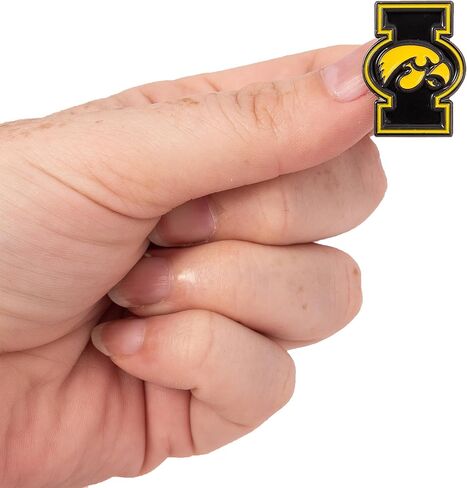 Desert Cactus University of Iowa Hawkeyes Lapel Pins Logo Enamel Made of Metal (Pin E) in Kuwait