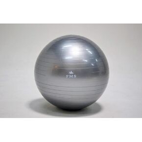 FIMISU 65cm Fitness Stability Ball • Yoga Balance Ball • Exercise Training BallINCLUDES Foot Pump in Saudi Arabia