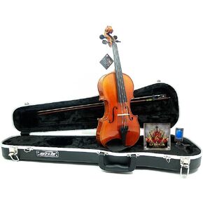 D'Luca, 4 Strauss Professional Violin Outfit 4/4 with SKB Case, Strings and Tuner, Right, (PROJBV44)