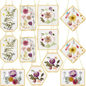 Soaoo 12 Pcs Brass Glass Frame for Pressed Flowers Hanging Picture Frames with Chain Clear Double Glass Frame Floating Frame Artwork Display Frame for Wall Decor Dried Plant Leaf, 6 Shapes (Black)