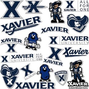 Desert Cactus Xavier University Sticker Vinyl Decal Laptop Water Bottle Car Scrapbook (Type A)