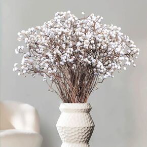 التوت الشحم المجفف، 220 جرام جذع طبيعي ديكور زهور الزفاف الأبيض هولي الشحم التوت، 2 حزم زهرة مجففة كرات بيلي زر باقة النبات نمط المزرعة زخرفة الزهور إكليل DIY الحرف اليدوية in Kuwait