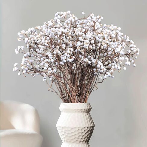 التوت الشحم المجفف، 220 جرام جذع طبيعي ديكور زهور الزفاف الأبيض هولي الشحم التوت، 2 حزم زهرة مجففة كرات بيلي زر باقة النبات نمط المزرعة زخرفة الزهور إكليل DIY الحرف اليدوية in Kuwait