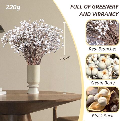 التوت الشحم المجفف، 220 جرام جذع طبيعي ديكور زهور الزفاف الأبيض هولي الشحم التوت، 2 حزم زهرة مجففة كرات بيلي زر باقة النبات نمط المزرعة زخرفة الزهور إكليل DIY الحرف اليدوية in Kuwait