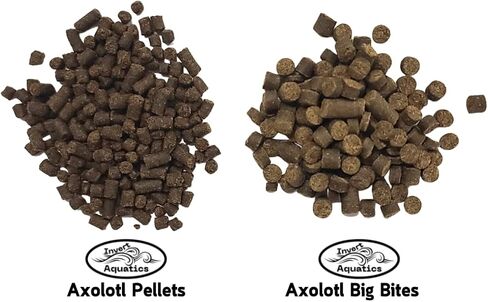 Axolotl Big Bites - Fast Sinking, Soft Pellet Daily Diet for Axolotls, Newts, Salamanders & Other Amphibians (3 oz (85g)) in Saudi Arabia