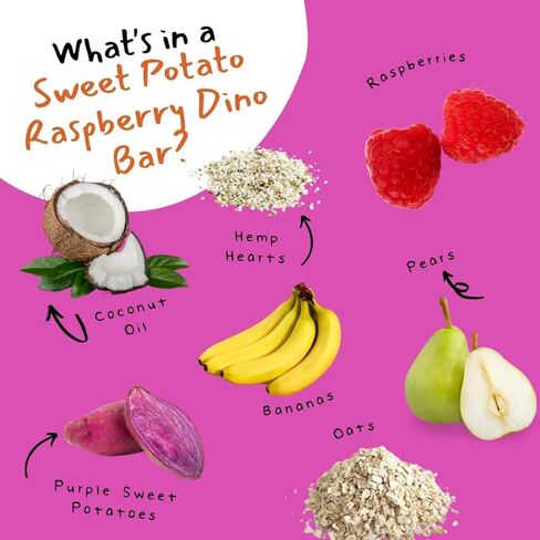 Dino Bars | Organic Fruit Bar for Kids | Organic Toddler Bars and Dinosaur Snacks | Fruit + Oats + Hemp Hearts + Coconut Oil with Edible Paper (12 Count (Pack of 1), Try Them All) in Saudi Arabia