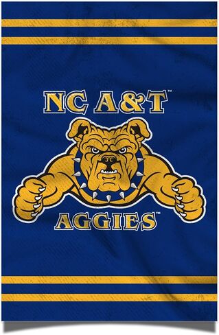 Desert Cactus North Carolina A&T State University Poster Aggies NC A&T 11 x 17 Inch Room Office Décor Decoration Official Fan Gear (11x17 inch, Version 3) in Saudi Arabia