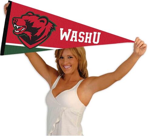 College Flags & Banners Co. Washington St. Louis Bears Logo Pennant Flag in Saudi Arabia
