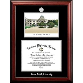 Campus Images University of North Texas Diploma Frame – 14 x 17 Manhattan Black with Printed Logo, Black & Kelly Green Mat, Officially Licensed in Kuwait