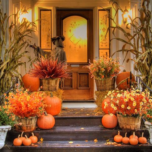 Ceenna 16 Pcs Artificial Fall Flowers Maple Leaves Floral Picks and Sprays with Pumpkins Sunflower Pine Cones Berries Stem for Harvest Wreath Thanksgiving Table Centerpiece Autumn Decoration in Kuwait