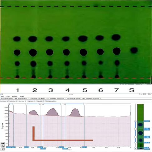 TLC Plates Aluminum Backed Silica Gel 60 F254 for Thin Layer Chromatography - Lab Analytical Sheets GF254, 20x20cm (7.87x7.87 Inch), 10 Pack in Kuwait