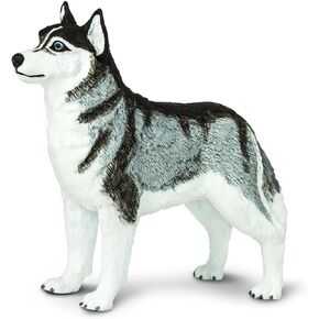 Safari Ltd. Siberian Husky Figurine - Detailed 3.25" Plastic Model Figure - Fun Educational Play Toy for Boys, Girls & Kids Ages 3+