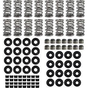 Dokili Valve Springs Kit .660" Lift w/Locks Retainers Seals Compatible with 4.8 5.3 6.0 LS1 LS2 LS3