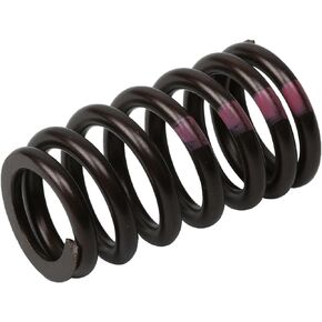 GM Genuine Parts 55571551 Engine Valve Spring