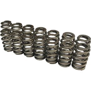EYSENC LS Valve Springs PAC1219 Racing Valve Springs Compatible with GM LS Engine 4.8 5.3 5.7 6.0 6.2 (.625'' Lift Rated)