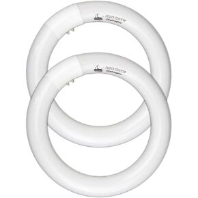 CHKADAWA FC8T9/CW Circular Fluorescent Light Bulb, 8 Inch Round T9 22W Circline Bulbs Replacement for Circle Ceiling Fixture, Cool White 4100K 1350 Lumens, G10q 4 Pin Base, 2 Pack