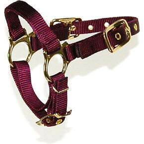 Hamilton Sheep Halter with Adjustable Chin Strap, 3/4-Inch, Black