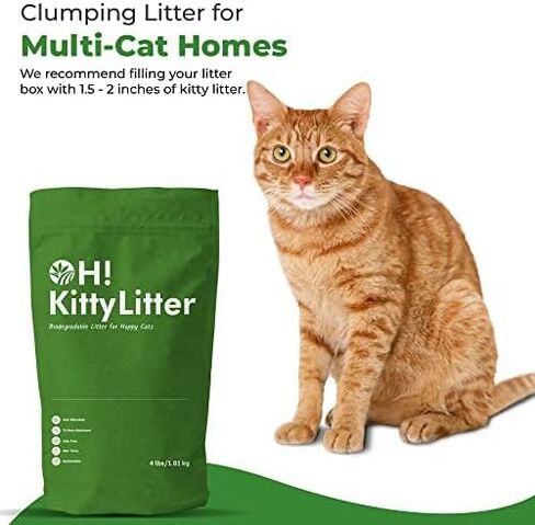 فضلات القطط من Oley Hemp - 4 أرطال - طبيعية 100%، وخالية من السموم، وقابلة للتحلل البيولوجي - تركيبة قنب مستدامة لحياة صديقة للبيئة in Kuwait