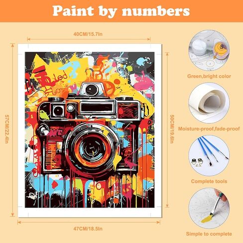 AIRDEA Paint by Numbers Kit for Adults,Abstract Art Adults' Paint-by-Number Kits,Colorful Camera Paint by Numbers Kit for Beginner,DIY Paint by Numbers Canvas 15.7x19.6 inch,Without Frame in Saudi Arabia