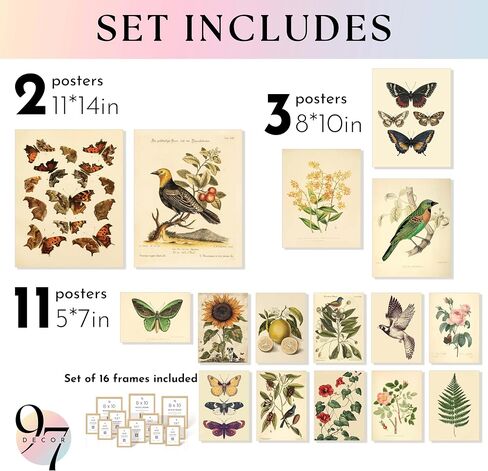 97 Decor LARGE 11x14 Vintage Botanical Wall Art Decor - Plant Posters For Room Aesthetic, Vintage Botanical Prints Nature Floral Pictures Butterfly Bird Art For Home Bedroom (Unframed) in Saudi Arabia