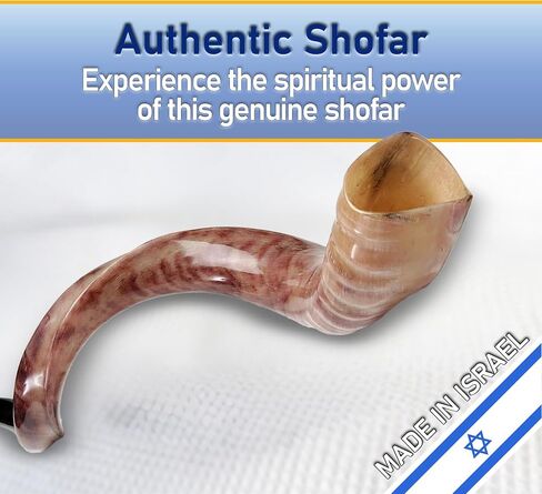 Yemenite Shofar Kosher and Polish - 40" To 43" in Saudi Arabia