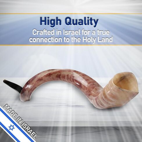 Yemenite Shofar Kosher and Polish - 40" To 43" in Saudi Arabia