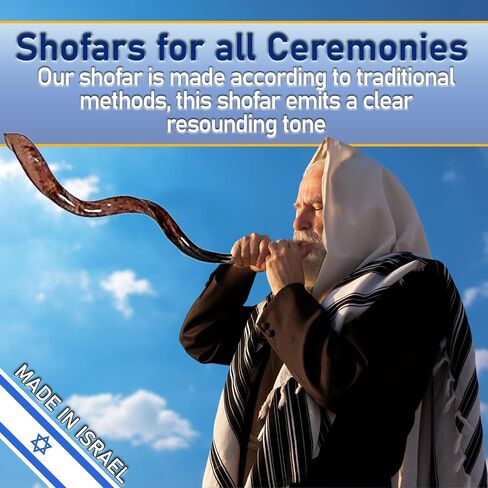 Yemenite Shofar Kosher and Polish - 40" To 43" in Saudi Arabia