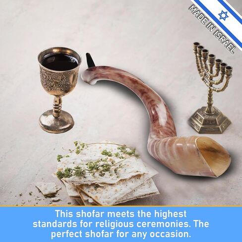 Yemenite Shofar Kosher and Polish - 40" To 43" in Saudi Arabia