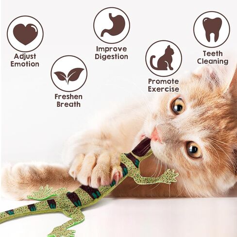 CiyvoLyeen Swabs Catnip Toys Set of 6 Soft Plush Cat Kicker Toys Interactive Kitty Kick Sticks for Cat Lovers Gift Sturdy Cat Teething Chew Toy for Cat in Saudi Arabia