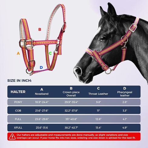 Hilltown Hill -Horse Harter مع حزام PP ، ودائم الخيول مع أجهزة سبيكة الزنك ، وأجهزة تدريب الخيول لمنع الاحتكاك للتدريب ، والمسابقات ＆ يوميًا in Kuwait