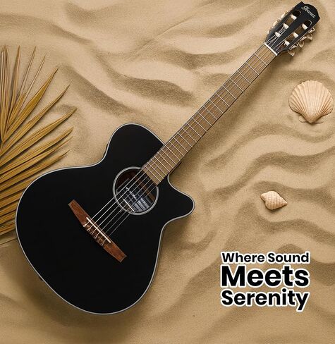 غيتار Ibanez AEG5012 12 سلسلة صوتية-حزمة من الكمان الداكن مع حقيبة أزعج ، موالف ، حزام ، سلاسل D'Addario ، اختيارات ، أوستن بازار تعليمية DVD ، وقطعة قماش تلميع in Saudi Arabia