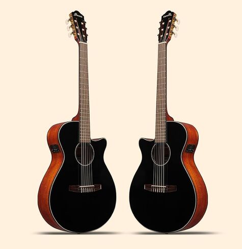 غيتار Ibanez AEG5012 12 سلسلة صوتية-حزمة من الكمان الداكن مع حقيبة أزعج ، موالف ، حزام ، سلاسل D'Addario ، اختيارات ، أوستن بازار تعليمية DVD ، وقطعة قماش تلميع in Saudi Arabia