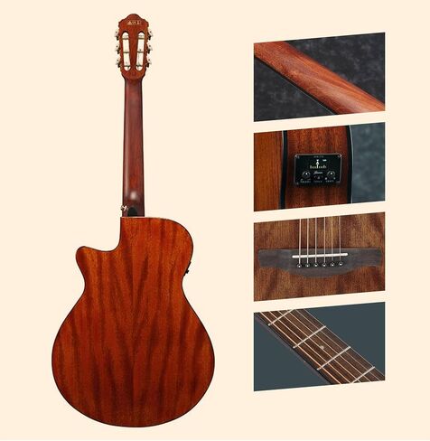 غيتار Ibanez AEG5012 12 سلسلة صوتية-حزمة من الكمان الداكن مع حقيبة أزعج ، موالف ، حزام ، سلاسل D'Addario ، اختيارات ، أوستن بازار تعليمية DVD ، وقطعة قماش تلميع in Saudi Arabia